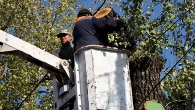 Zakon.kz, фото - Новости Zakon.kz от 06.11.2014 20:38