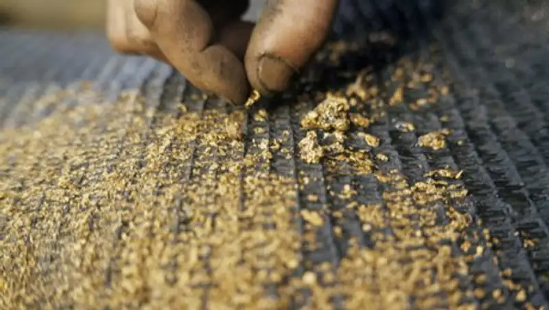 Депутат обеспокоен проблемой «черных» старателей