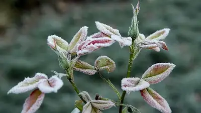 прогноз погоды, фото - Новости Zakon.kz от 09.09.2023 20:12