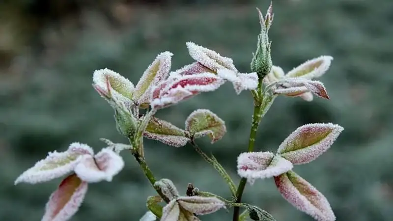 В 12 регионах Казахстана на воскресенье объявлено штормовое предупреждение