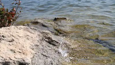 Обмелевший Каспий показал блогер, фото - Новости Zakon.kz от 31.03.2023 17:55