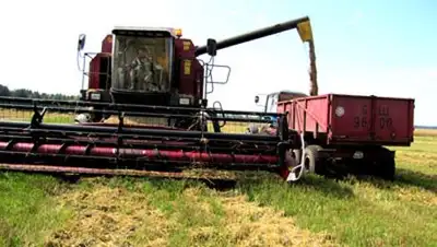 Zakon.kz, фото - Новости Zakon.kz от 15.08.2014 22:42