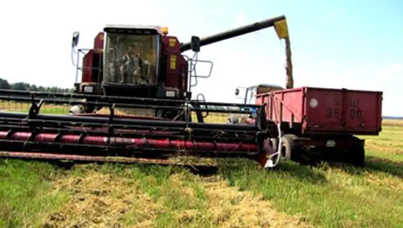 В Акмолинской области обсудили вопросы проведения уборочных работ