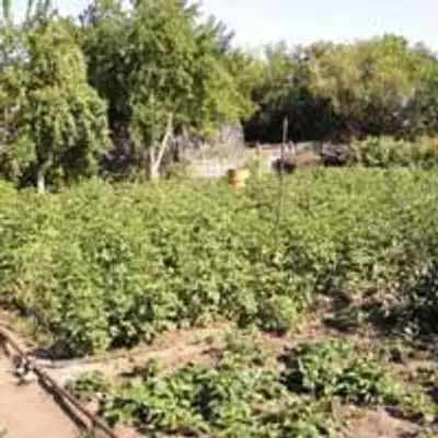 Zakon.kz, фото - Новости Zakon.kz от 25.04.2013 16:08