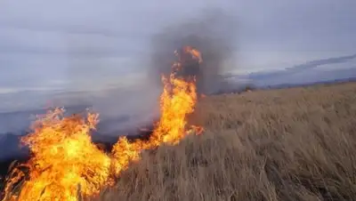 Zakon.kz, фото - Новости Zakon.kz от 12.10.2015 18:49