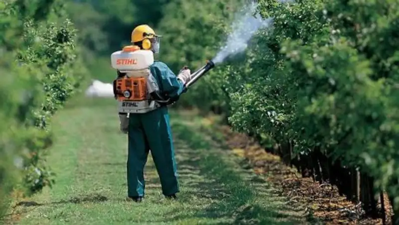 В Астане продолжается работа по борьбе с комарами