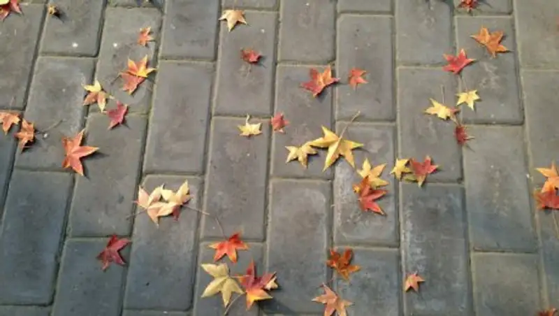 Погода без осадков сохранится в Казахстане 16 сентября