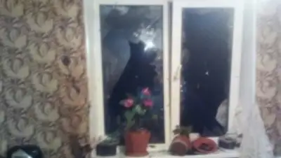 kp.ru, фото - Новости Zakon.kz от 11.11.2019 13:42