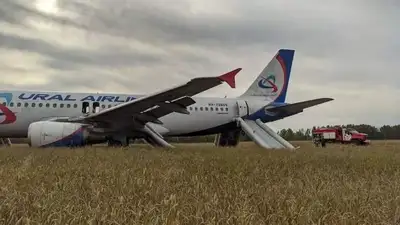 Экстренная посадка самолета, фото - Новости Zakon.kz от 12.09.2023 13:50