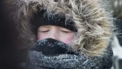 Zakon.kz, фото - Новости Zakon.kz от 25.11.2014 15:05