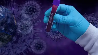 pereiaslav.city, фото - Новости Zakon.kz от 17.07.2020 18:56