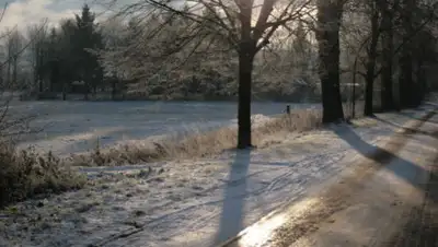 pxhere.com, фото - Новости Zakon.kz от 13.11.2019 12:15