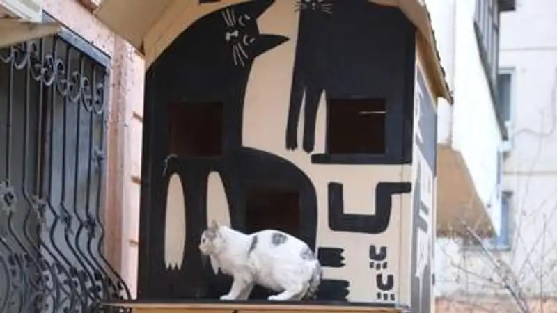 , фото - Новости Zakon.kz от 05.08.2023 10:00