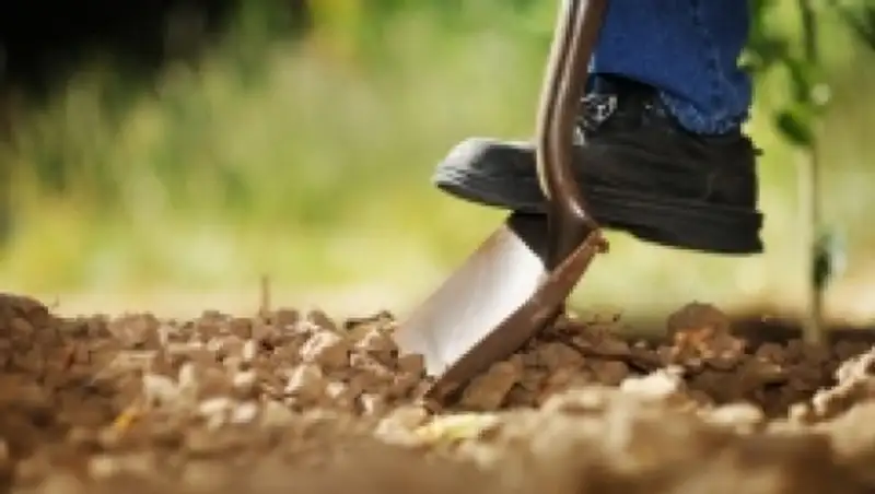 В ЮКО 5,4 тыс га земли вернули государству