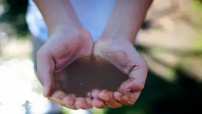 Антикор, фото - Новости Zakon.kz от 16.03.2018 01:30