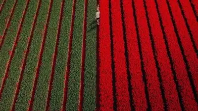 adme.ru, фото - Новости Zakon.kz от 12.08.2018 22:03