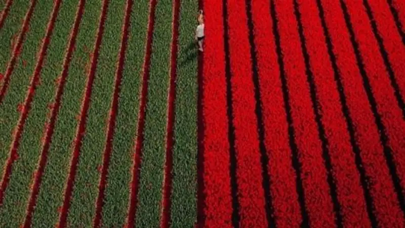 20 фото, на которых минимум деталей и максимум смысла