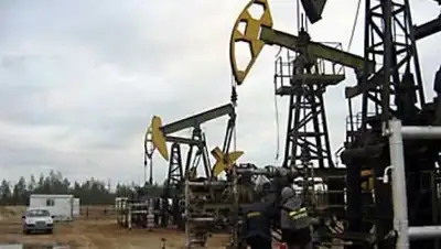 Zakon.kz, фото - Новости Zakon.kz от 14.11.2013 17:56