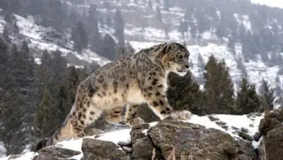 Zakon.kz, фото - Новости Zakon.kz от 21.12.2016 16:45