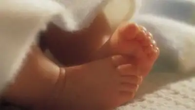 Zakon.kz, фото - Новости Zakon.kz от 11.08.2014 17:11