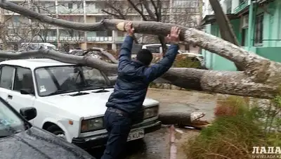 Zakon.kz, фото - Новости Zakon.kz от 05.12.2015 00:13