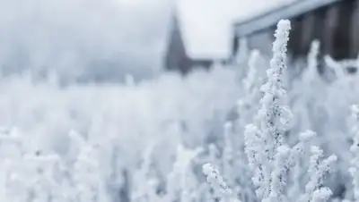 pxhere.com, фото - Новости Zakon.kz от 04.02.2019 16:20