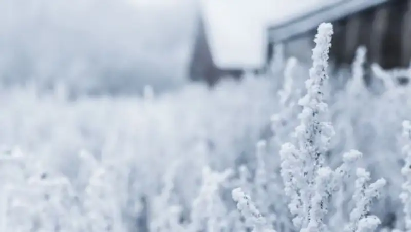 В Алматинской области ожидаются морозы до -30 градусов