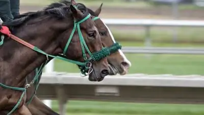 pixabay.com, фото - Новости Zakon.kz от 14.09.2021 09:05