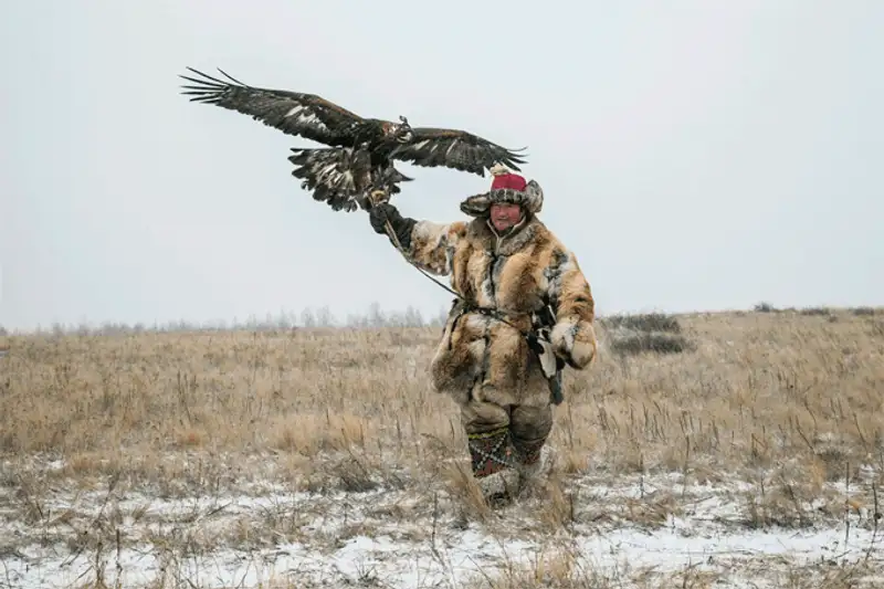 Первый международный фестиваль «Беркутчи» прошел недалеко от Астаны Первый международный фестиваль «Беркутчи» прошел недалеко от Астаны, фото - Новости Zakon.kz от 01.12.2013 17:29
