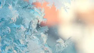 ГТРК "Алтай", фото - Новости Zakon.kz от 05.02.2019 09:59