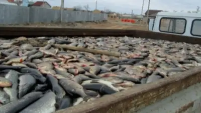 Zakon.kz, фото - Новости Zakon.kz от 22.05.2015 20:37