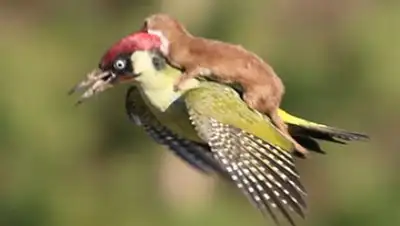 Zakon.kz, фото - Новости Zakon.kz от 04.03.2015 00:39