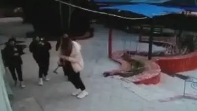 кадр из видео, фото - Новости Zakon.kz от 29.03.2021 13:17