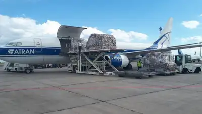 -, фото - Новости Zakon.kz от 24.07.2020 19:36