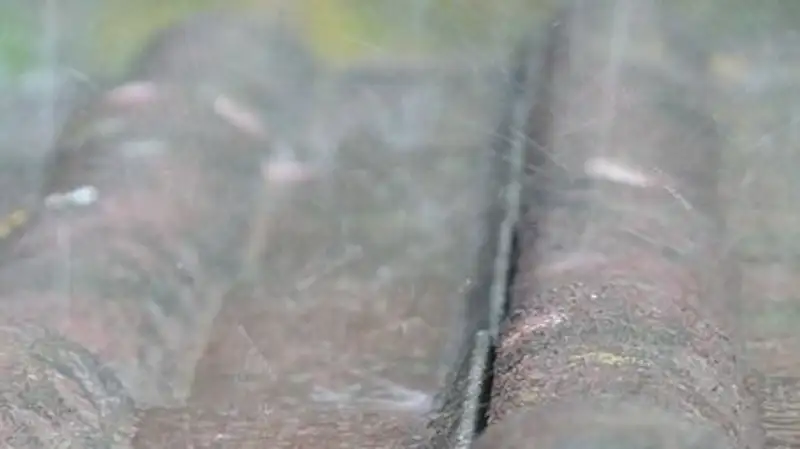 В Жетысуской области талая вода топит село вторые сутки