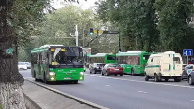 zakon.kz, фото - Новости Zakon.kz от 27.08.2020 17:40