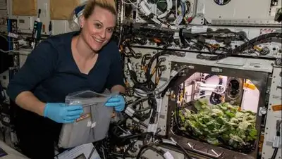 NASA, фото - Новости Zakon.kz от 08.12.2020 21:23