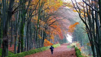 pixabay.com, фото - Новости Zakon.kz от 29.06.2019 21:12