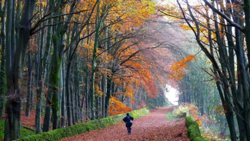 Кейт Миддлтон и принц Уильям потратили $1,2 млн на дорогу к резиденции