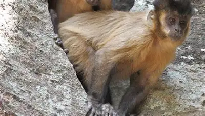 Zakon.kz, фото - Новости Zakon.kz от 20.10.2016 16:56