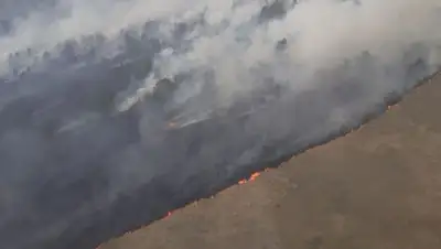 пресс-служба, фото - Новости Zakon.kz от 16.07.2020 11:36