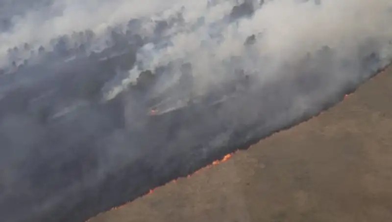 За розжиг костров в горах Алматы могут оштрафовать