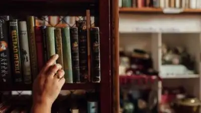 i.pinimg.com, фото - Новости Zakon.kz от 11.02.2021 13:51