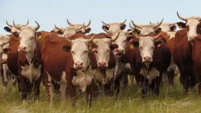 Zakon.kz, фото - Новости Zakon.kz от 13.11.2016 22:34