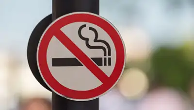 epochtimes, фото - Новости Zakon.kz от 08.05.2020 14:09