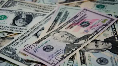 1zoom.ru, фото - Новости Zakon.kz от 16.05.2019 11:25