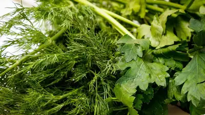 Врач назвал причины включить в рацион больше свежей зелени, фото - Новости Zakon.kz от 12.06.2023 13:41