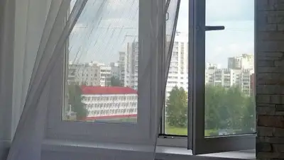 Zakon.kz, фото - Новости Zakon.kz от 03.08.2017 14:55