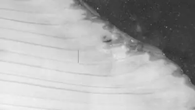 Zakon.kz, фото - Новости Zakon.kz от 15.11.2013 16:04