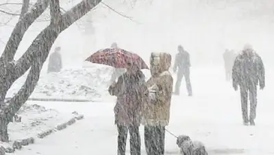 Zakon.kz, фото - Новости Zakon.kz от 30.01.2017 12:01